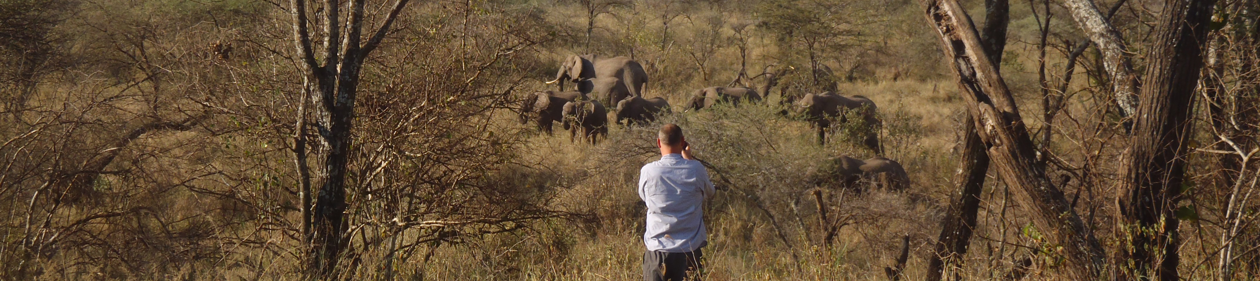 African Environments